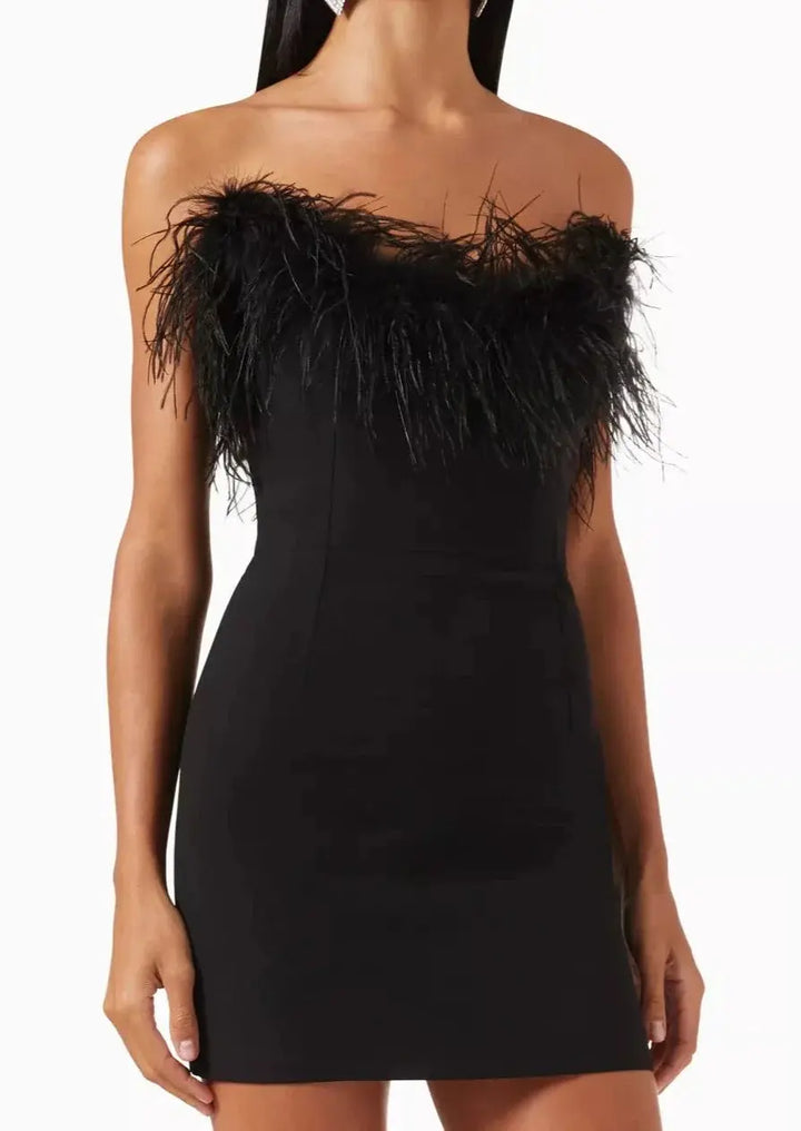 Anika | Feather Trim Cocktail Mini Dress