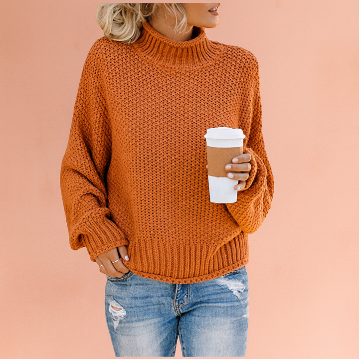 Chunky Mock Neck Knit Sweater