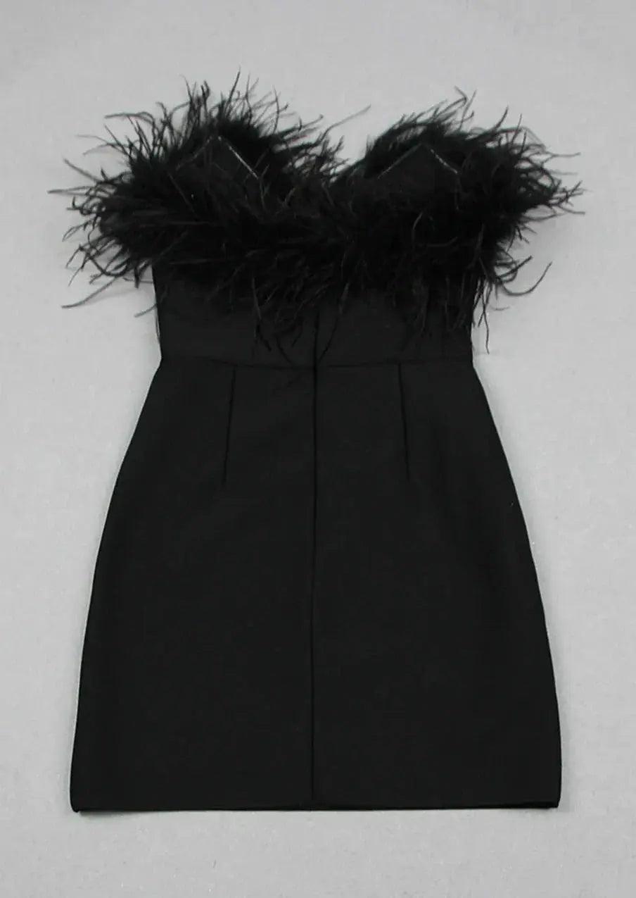 Viviana | Feather Trim Evening Mini Dress