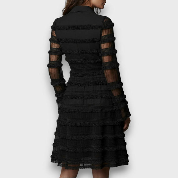Georgia | Sheer Long Sleeve Textured Mini Dress