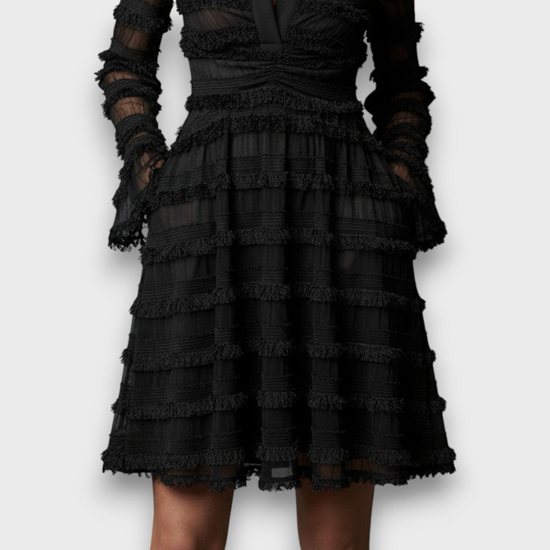Georgia | Sheer Long Sleeve Textured Mini Dress