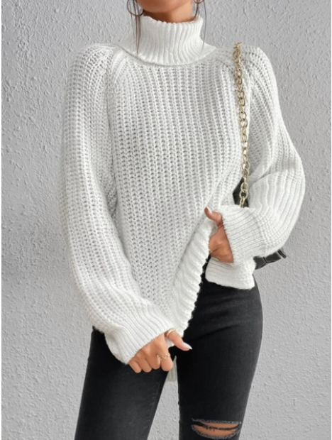 Women's Chunky Knit Roll Neck Jumper in Relaxed Fit